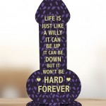 Funny Rude Friendship Plaque Novelty Birthday Best Friend Gift