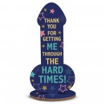 Funny Friendship Plaque Thank You Gift For Friend Novelty Rude 