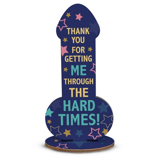 Funny Friendship Plaque Thank You Gift For Friend Novelty Rude 