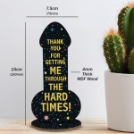 Funny Rude Friendship Plaque Thank You Gift For Best Friend 