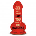 Funny Gift For Girlfriend Wife Novelty Joke Gift Plaque Birthday