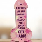 Rude Friendship Plaque Funny Joke Gift For Friend Birthday