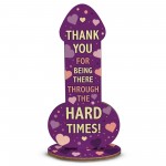 Funny Thank You Gift Rude Friendship Sign Joke Gift Best Friend