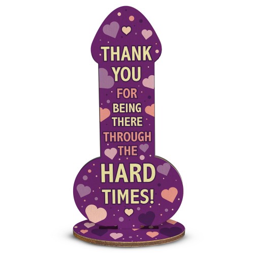 Funny Thank You Gift Rude Friendship Sign Joke Gift Best Friend