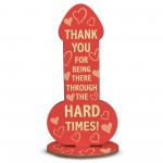 Funny Thank You Gift For Friends Family Rude Joke Best Friend