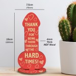 Funny Thank You Gift For Friends Family Rude Joke Best Friend