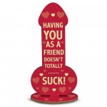 Funny Rude Best Friend Plaque Novelty Friendship Gift For Women