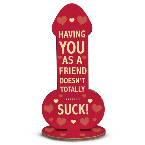 Funny Rude Best Friend Plaque Novelty Friendship Gift For Women