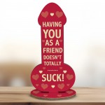 Funny Rude Best Friend Plaque Novelty Friendship Gift For Women