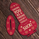 Funny Rude Best Friend Plaque Novelty Friendship Gift For Women