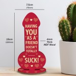 Funny Rude Best Friend Plaque Novelty Friendship Gift For Women