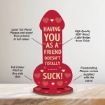 Funny Rude Best Friend Plaque Novelty Friendship Gift For Women