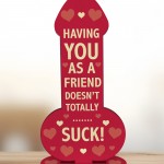 Funny Rude Best Friend Plaque Novelty Friendship Gift For Women