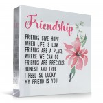Gift For Best Friend Friendship Plaque Clear Block Best Friend