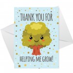 Teacher Thank You Card Multipack of 6 End of Term Leaving School