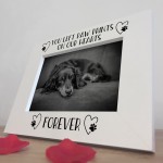 Dog Memorial White Photo Frame Paw Prints On Our Hearts Forever