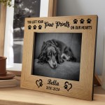 DOG MEMORIAL GIFTS Sympathy Gifts for Loss of Dog Paw Prints 7x5