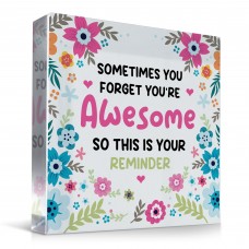 Birthday Gifts for Her YOU ARE AWESOME Plaque Lirthday Gifts