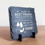 Funny Friendship Plaques Gifts For Women Slate Standing Plaque