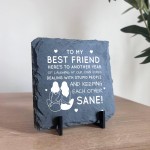 Funny Friendship Plaques Gifts For Women Slate Standing Plaque