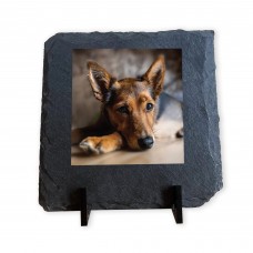 Personalised Gift For Dog Lover Gift For Birthday Christmas