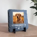 Dog Memorial Plaque Pet Loss Gifts Personalised Memorial Slate