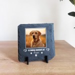 Dog Memorial Plaque Pet Loss Gifts Personalised Memorial Slate