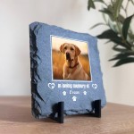 Dog Memorial Plaque Pet Loss Gifts Personalised Memorial Slate