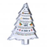 Wife Gift Christmas Acrylic Christmas Tree Gift For Her Gifts
