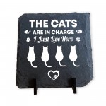 Funny Cat Slate Plaque Gift For Cat Owners Funny Pet Gifts 