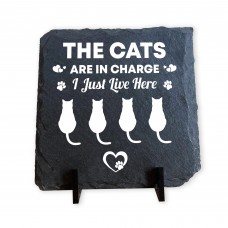 Funny Cat Slate Plaque Gift For Cat Owners Funny Pet Gifts 