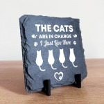 Funny Cat Slate Plaque Gift For Cat Owners Funny Pet Gifts 