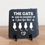 Funny Cat Slate Plaque Gift For Cat Owners Funny Pet Gifts 