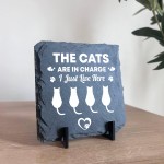 Funny Cat Slate Plaque Gift For Cat Owners Funny Pet Gifts 