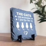 Funny Cat Slate Plaque Gift For Cat Owners Funny Pet Gifts 