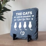 Funny Cat Slate Plaque Gift For Cat Owners Funny Pet Gifts 