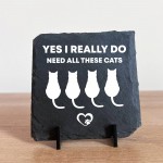 Funny Cat Sign Slate Plaque Gift For Cat Owners Cat Gifts
