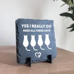Funny Cat Sign Slate Plaque Gift For Cat Owners Cat Gifts