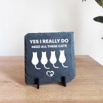 Funny Cat Sign Slate Plaque Gift For Cat Owners Cat Gifts