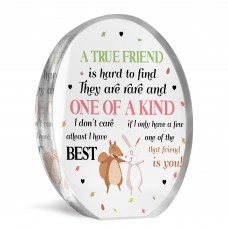 Gift For Best Friend BFF True Friend Gift Acrylic Plaque