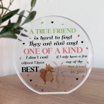 Gift For Best Friend BFF True Friend Gift Acrylic Plaque