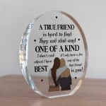 Gift For Best Friend BFF TRUE FRIEND PLAQUE Acrylic Plaque