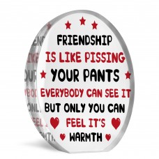 Funny Plaque For Friend Birthday Christmas Acrylic Plaque
