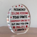Funny Plaque For Friend Birthday Christmas Acrylic Plaque