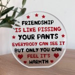 Funny Plaque For Friend Birthday Christmas Acrylic Plaque