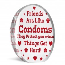 Joke Best Friend Gift Acrylic Plaque Funny Gift For Birthday