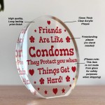 Joke Best Friend Gift Acrylic Plaque Funny Gift For Birthday