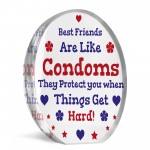 Funny Best Friend Gift Acrylic Plaque Funny Gift For Birthday