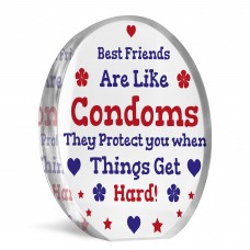 Funny Best Friend Gift Acrylic Plaque Funny Gift For Birthday