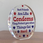 Funny Best Friend Gift Acrylic Plaque Funny Gift For Birthday